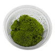 Cushion Moss Cup Moss Plant in a clear container displaying lush, vibrant green foliage.