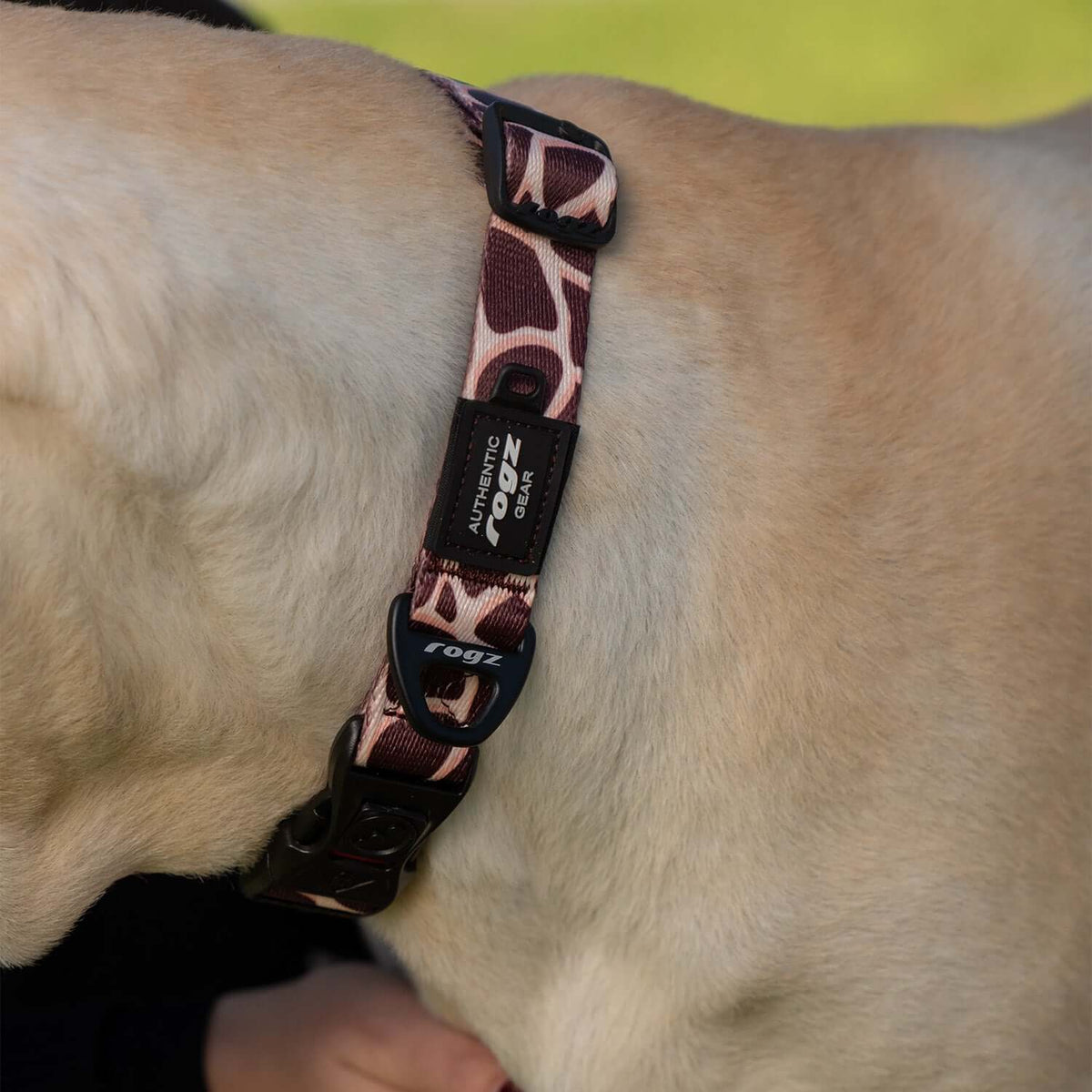 Fusion Safari Classic Collar Giraffe Lifestyle 4