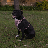 Fusion Safari Comfy Harness Giraffe Lifestyle 5