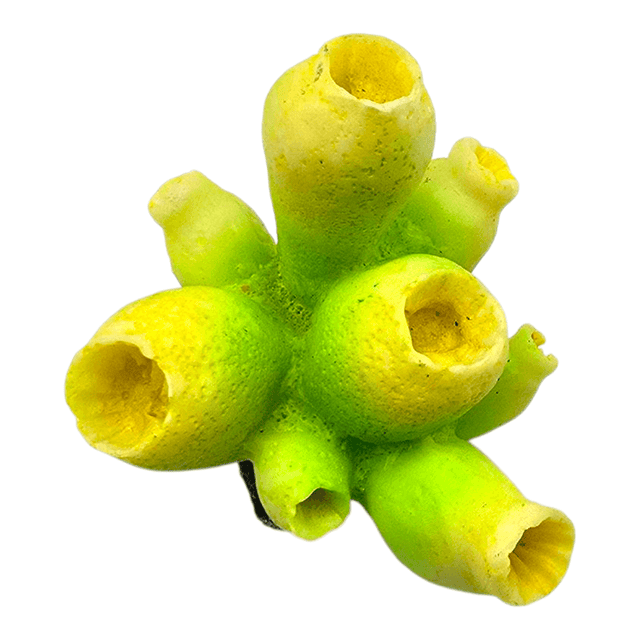 Green and yellow coral aquarium ornament, realistic coral design for freshwater and saltwater tanks.