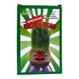 Growing Grass Heads fun gardening activity with assorted face designs and vibrant grass growth.