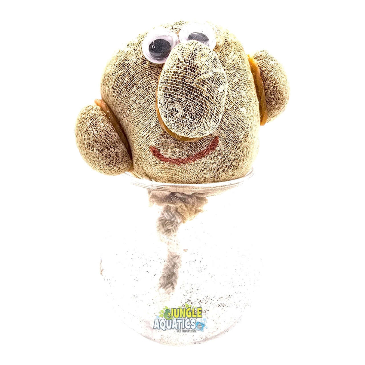 Growing Grass Heads in a jar with googly eyes and a smiling face design, ready to grow grass.