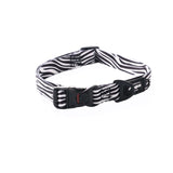 ROGZ Dog Collar Classic, Fusion Safari, Extra Large, Zebra