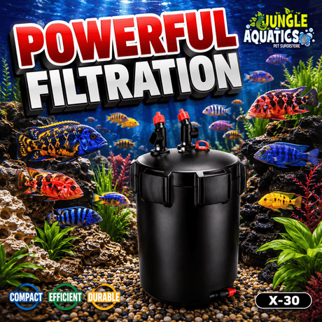 HaiYang X-30 UV Canister Filter for powerful filtration in aquariums with vibrant fish and clear water.