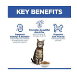 Key benefits of Hills Science Plan Adult Cat Food Salmon Flavour including support for kidneys, skin, fur, and lean muscle.