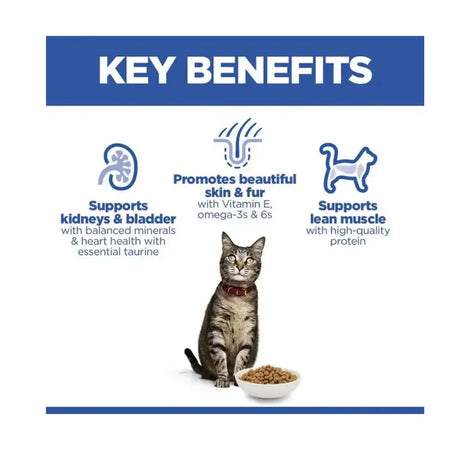 Key benefits of Hills Science Plan Adult Cat Food Salmon Flavour including support for kidneys, skin, fur, and lean muscle.