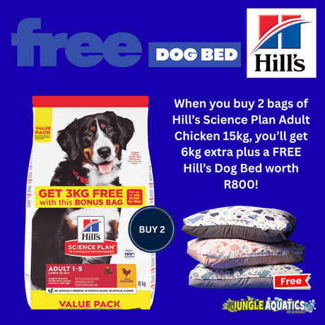 Hill's Dog Food and Free Bed Promo featuring 2 bags of Hill's Science Plan Adult Chicken and a free dog bed.