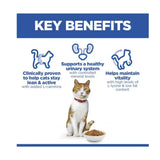 Hills Science Plan Adult Sterilised Cat Food Chicken Flavour 3kg key benefits with a cat and dry food bowl.