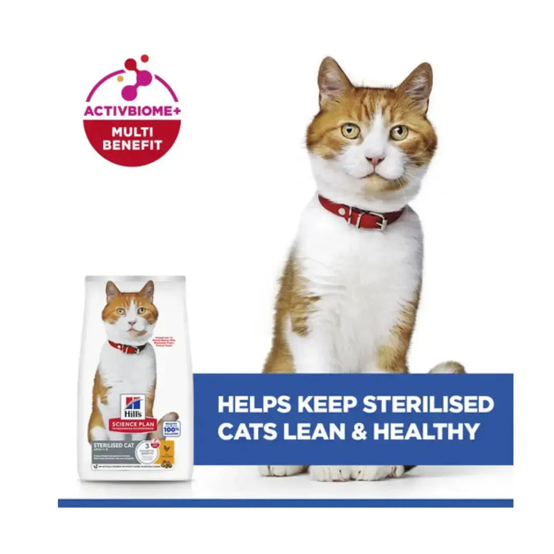 Hills Science Plan Adult Sterilised Cat Food Chicken Flavour 3kg with a cat promoting lean and healthy lifestyle.