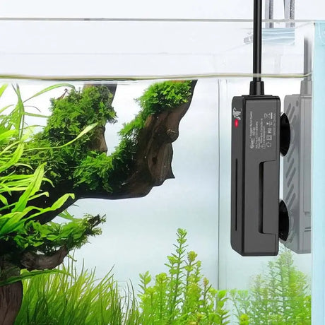 Hygger Nano Aquarium Heater 20W in a planted aquarium, showcasing compact design and precise temperature control features.