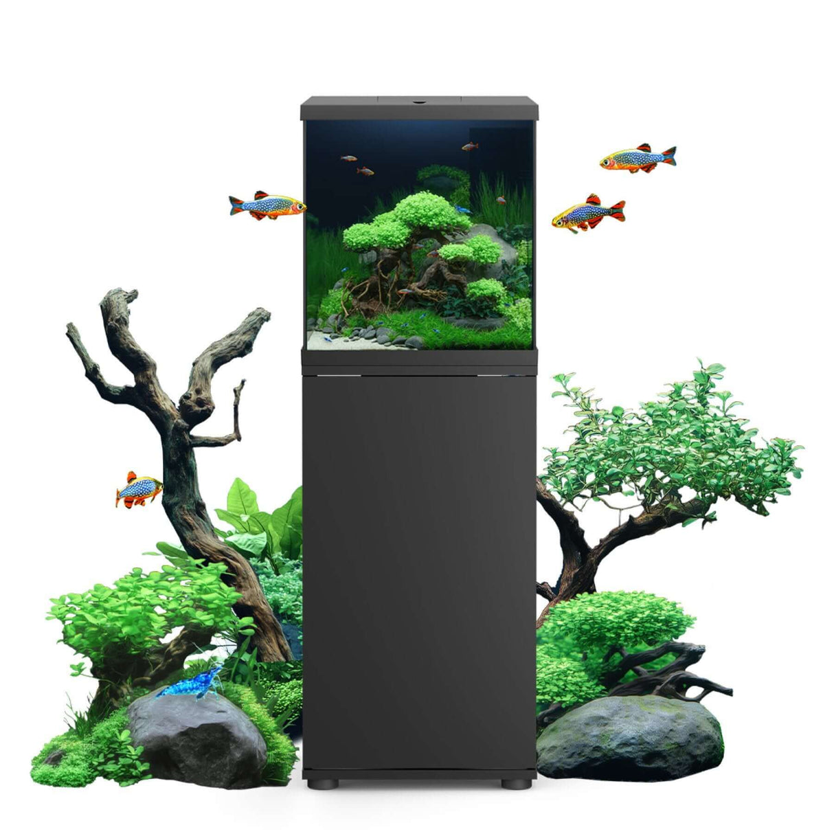 Juwel Vio Cube 54 Series with vibrant aquascape and decorative plants, showcasing modern aquatic design.
