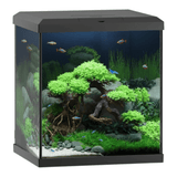 Juwel Vio Cube 54 Series aquascape with lush greenery and colorful fish in a modern, elegant cube design.