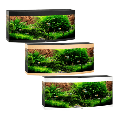 Juwel Vision Series aquariums in black, brown, and white showcasing vibrant aquatic plants and fish.