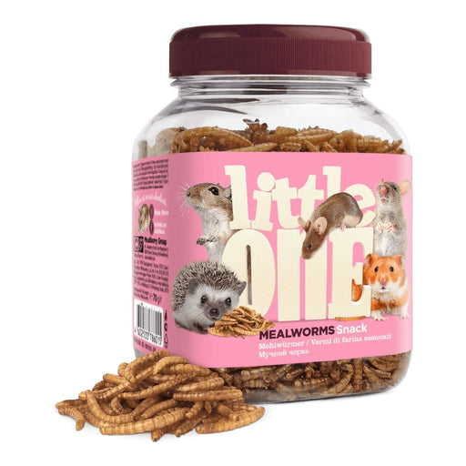 Little One Mealworms Snack 70g jar with dried mealworms, perfect treat for omnivorous rodents.