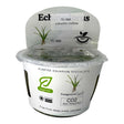 Littorella Uniflora TC Tropical Plant in a container labeled for aquarium use, ideal for foreground planting.