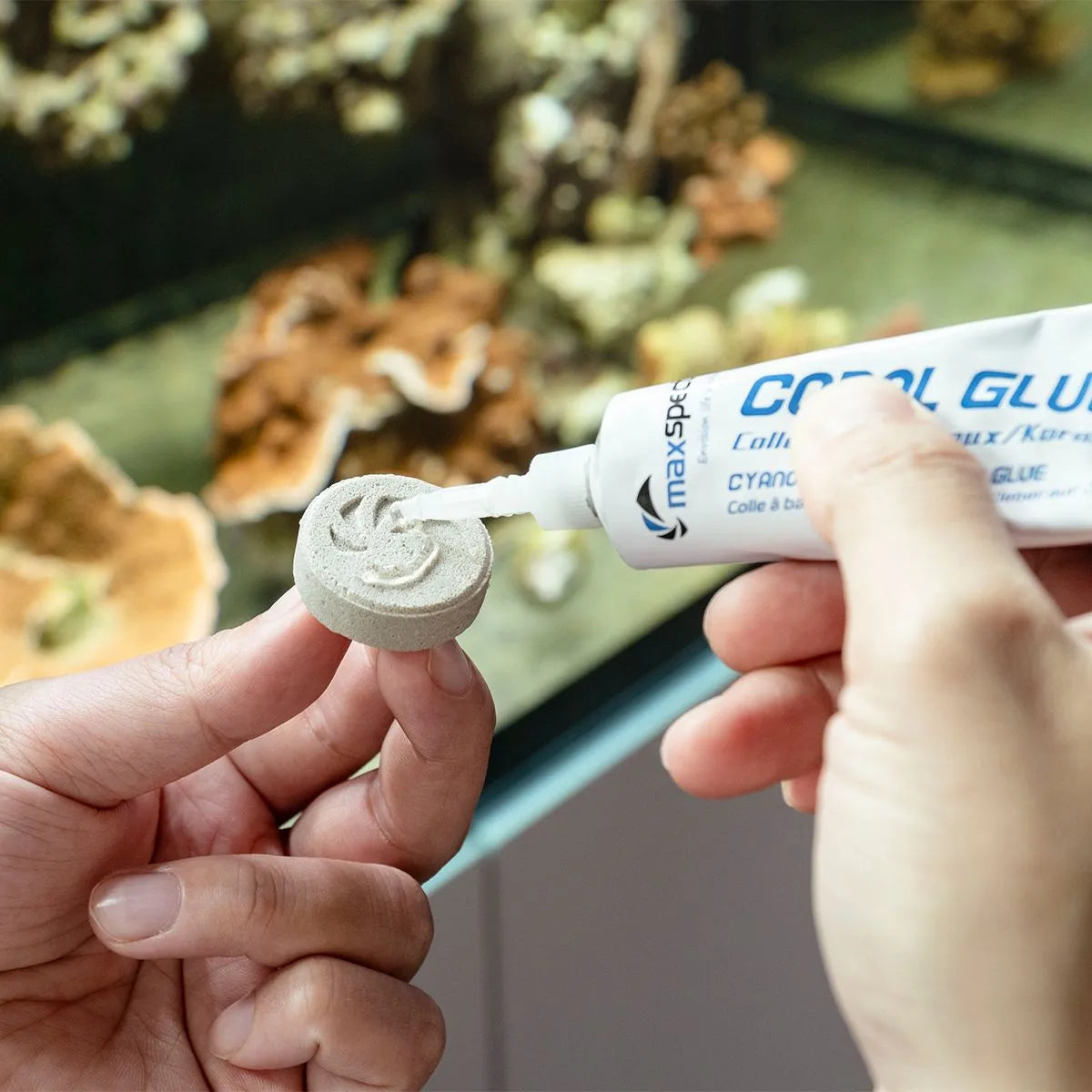 Applying Maxspect Coral Glue 50g Tube to a coral piece for aquascaping in an aquarium.