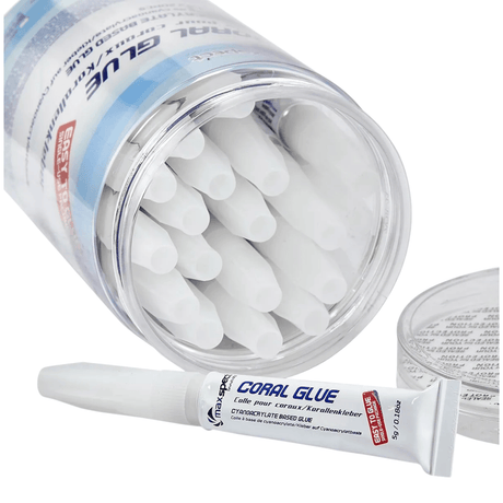 Maxspect Coral Glue Jar 20 x 5g Tubes featuring individual glue tubes in a storage jar