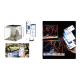Maxspect DICE Pico 2 AIO Freshwater Aquarium with smartphone app for smart monitoring and care.