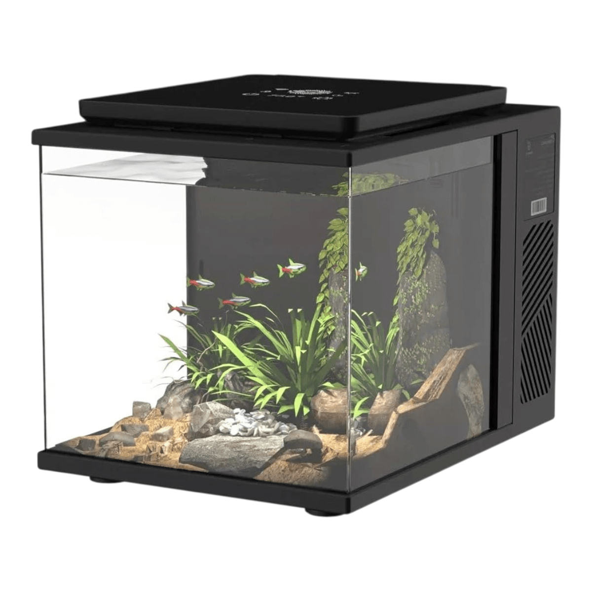 Maxspect DICE Pico 2 AIO Freshwater Aquarium showcasing a vibrant aquascape with plants and fish.