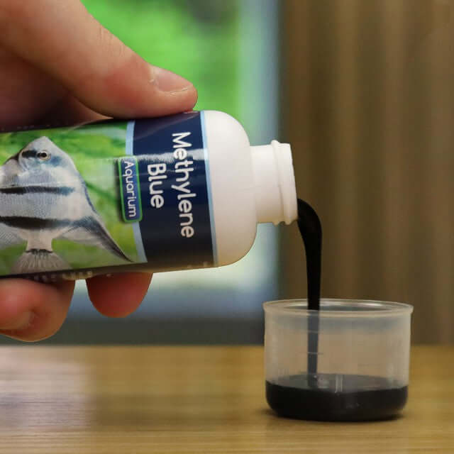 NT Labs Methylene Blue 100ml being poured into a measuring cup for aquarium treatment.
