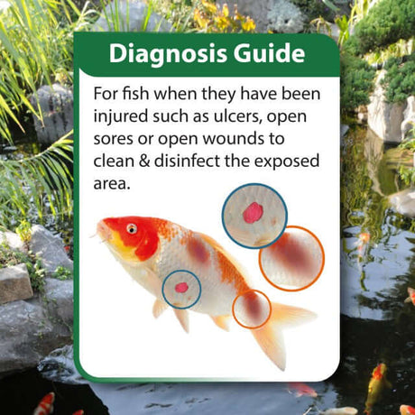 Diagnosis Guide for NT Labs Pond Koi Ulcer Swab 100ml highlighting ulcer cleaning for fish injuries.