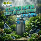 Oase BioMaster Thermo Canister Filters for cleaner water and simpler maintenance now less 20% at Jungle Aquatics
