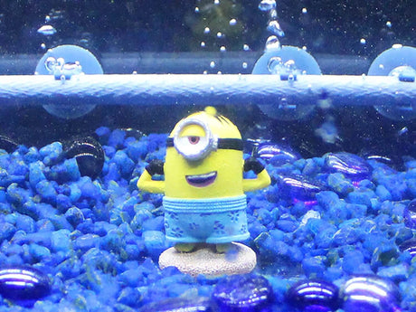 Penn-Plax Minions Officially Licensed Kevin minion figure in aquarium with blue gravel and bubbles.