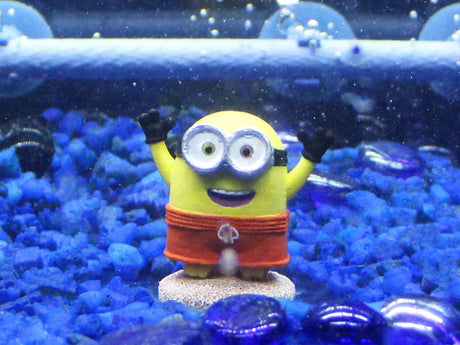 Penn-Plax Minions Officially Licensed aquarium ornament of a happy Minion character in a fish tank.