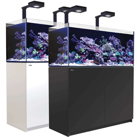 Red Sea Reefer G2+ 350 Aquarium in black and white with vibrant coral and fish, featuring LED lighting.