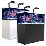 Red Sea Reefer G2+ 425 Aquarium with vibrant coral and marine life under LED lights, available in black and white finishes.