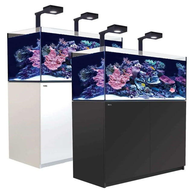 Red Sea Reefer G2+ 425 Aquarium with vibrant coral and marine life under LED lights, available in black and white finishes.