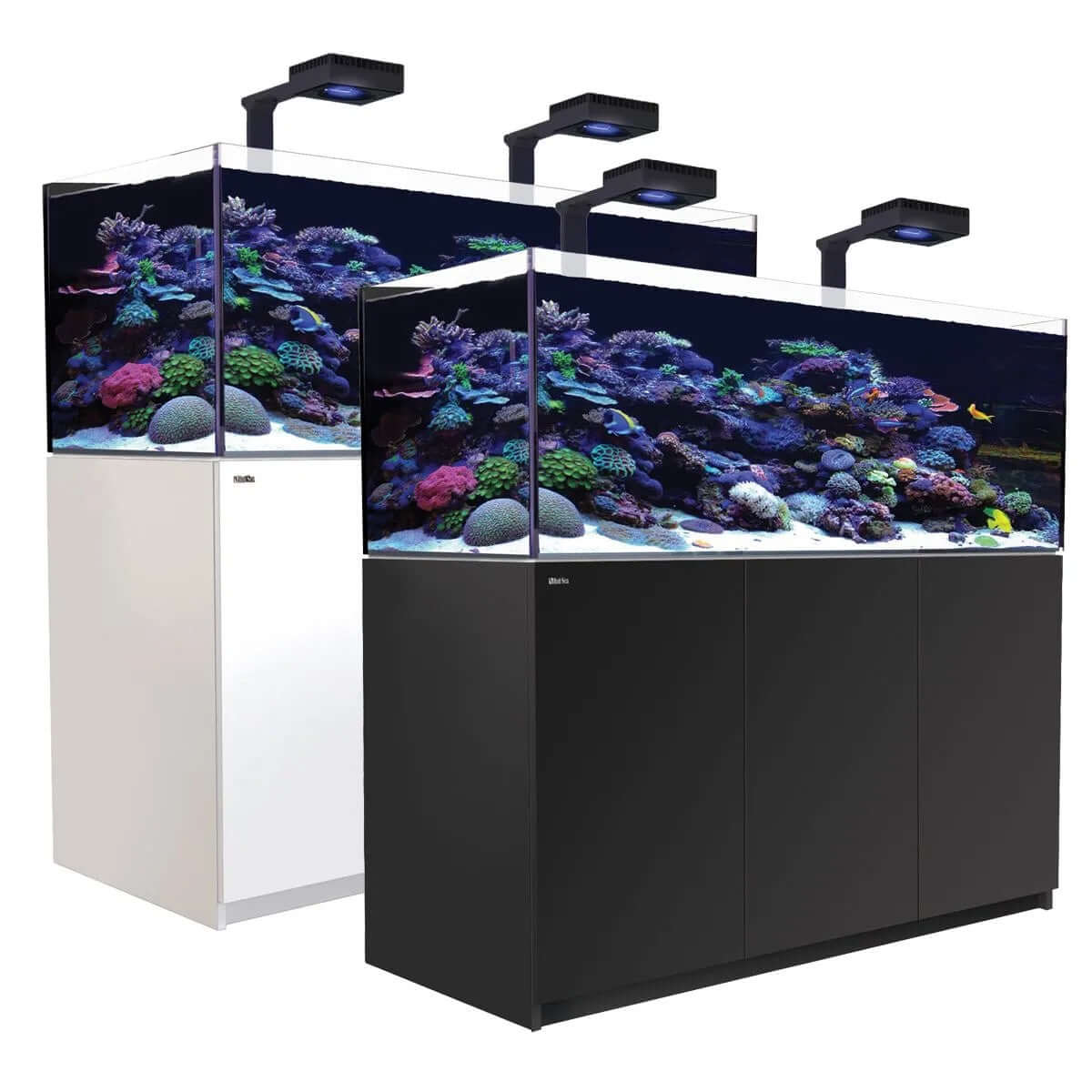 Red Sea Reefer G2+ 525 Aquarium in black and white, featuring vibrant coral and fish under LED lighting.