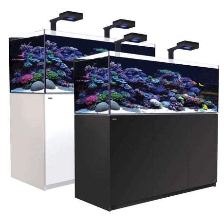Red Sea Reefer G2+ 525 Aquarium in black and white, featuring vibrant coral and fish under LED lighting.