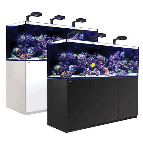 Red Sea Reefer G2+ 750 Aquarium setup featuring two tanks with vibrant coral and fish, showcasing advanced filtration and lighting.