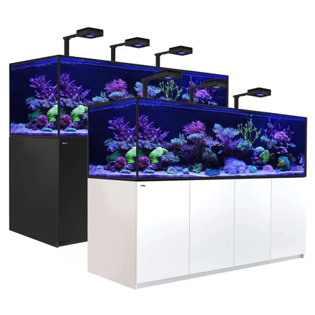 Red Sea Reefer G2+ S1000 Aquarium setup with vibrant coral and advanced lighting system.