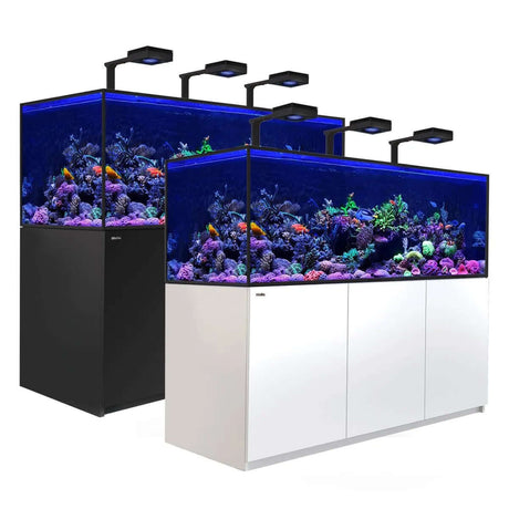 Red Sea Reefer G2+ S850 aquarium system showcasing vibrant coral and fish, available in black and white finishes.