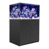 Red Sea Reefer G2+ 300 Aquarium with vibrant corals and sleek black cabinetry.