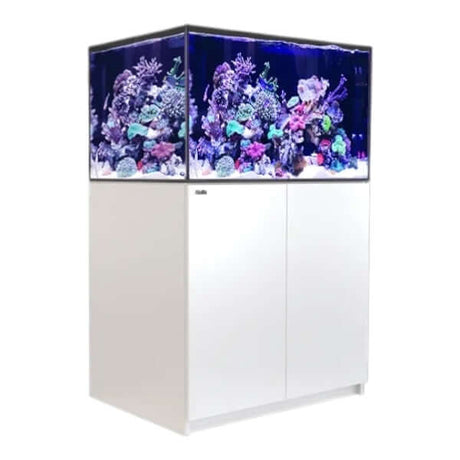 Red Sea Reefer G2+ 300 Aquarium with vibrant corals and white cabinet, perfect for reef hobbyists.