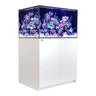 Red Sea Reefer G2+ 300 Aquarium with vibrant corals and white cabinet, perfect for reef hobbyists.