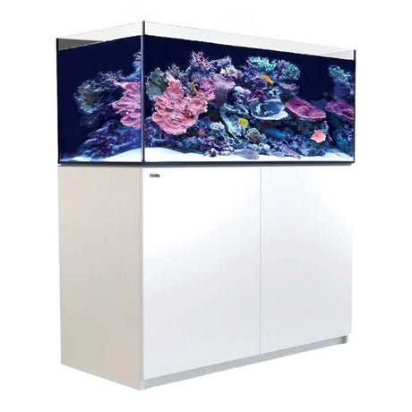 Red Sea Reefer G2+ 425 Aquarium showcasing vibrant coral and marine life in a modern cabinet design.