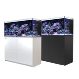 Red Sea Reefer G2+ 425 Aquarium showcasing vibrant coral reefs in two cabinet color options, white and black.