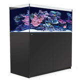 Red Sea Reefer G2+ 425 Aquarium with vibrant coral reef and sleek black cabinet, perfect for hobbyists.