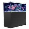 Red Sea Reefer G2+ 425 Aquarium with vibrant coral reef and sleek black cabinet, perfect for hobbyists.