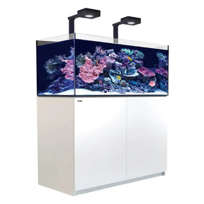 Red Sea Reefer G2+ 425 Aquarium with vibrant coral, LED lights, and sleek white cabinet.