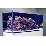 Vibrant Red Sea Reefer G2+ 525 Aquarium showcasing coral and colorful fish in a well-designed reef ecosystem.