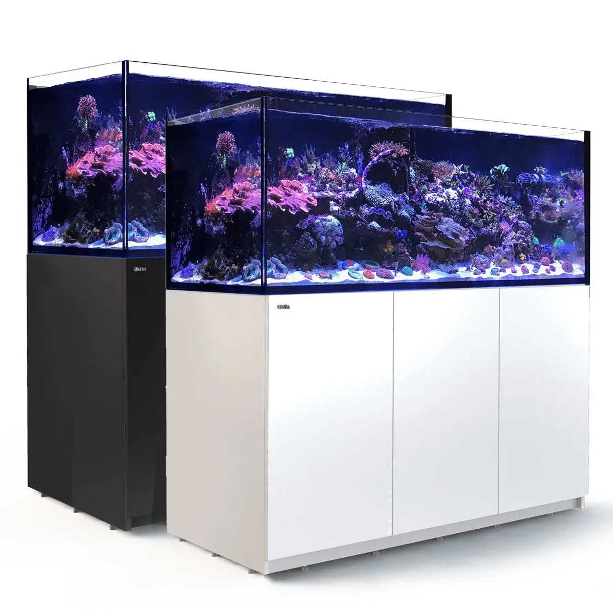 Red Sea Reefer G2+ 625 Aquarium with vibrant corals, available in black and white finishes, showcasing stunning reef life.