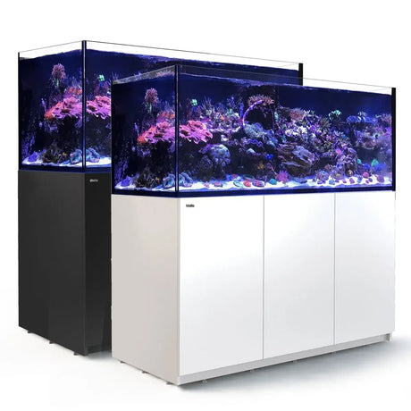 Red Sea Reefer G2+ 625 Aquarium with vibrant corals, available in black and white finishes, showcasing stunning reef life.