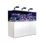 Red Sea Reefer G2+ 750 Aquarium with vibrant corals and LED lights, ideal for reef hobbyists.