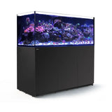 Stunning Red Sea Reefer G2+ 750 aquarium with vibrant coral and fish against a sleek black cabinet design.