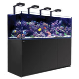 Red Sea Reefer G2+ 900 Aquarium with vibrant corals and LED lights, showcasing a stunning reef environment.